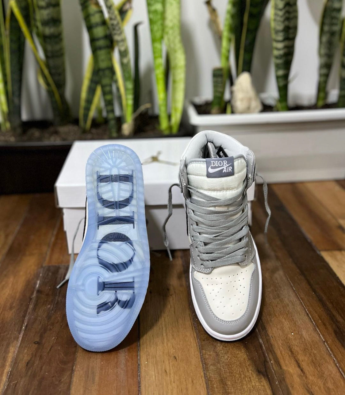 Jordan 1 X Dior